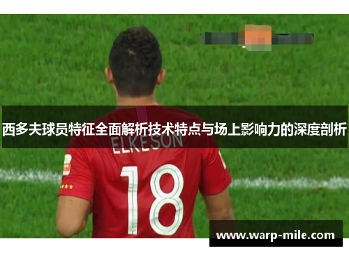 西多夫球员特征全面解析技术特点与场上影响力的深度剖析