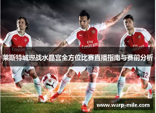 莱斯特城迎战水晶宫全方位比赛直播指南与赛前分析